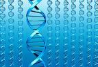 76759748DNA_picture.jpg