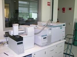 81669893volatiles.JPG