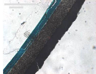 Paints and Coatings 816715544 paint layers.jpg