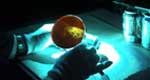 81925176laserLatentprints.jpg