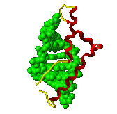 Male DNA Screening 84596972screening2.gif