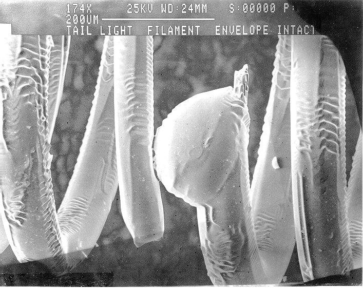 84060332filament1.jpg