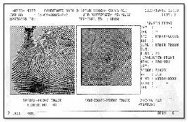 84267947latent16.jpg